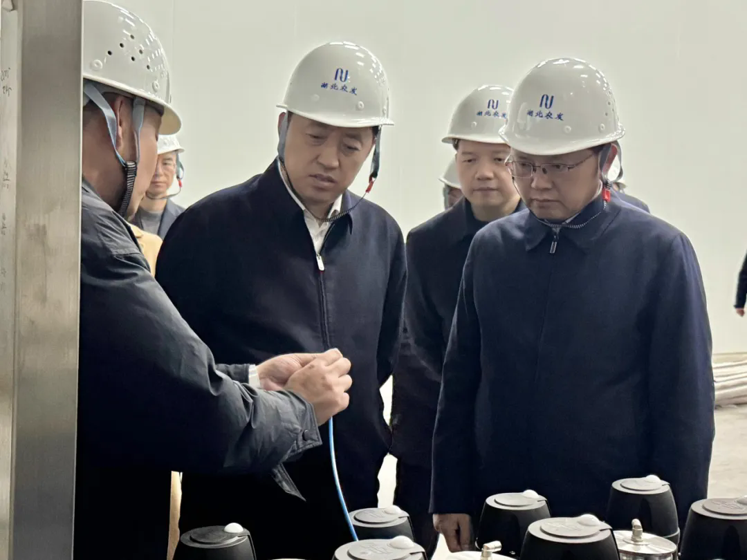 楊良鋒一行調研蛋品精深加工項目