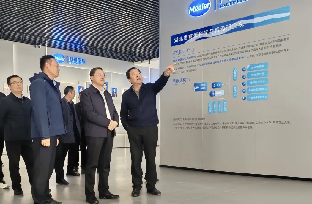 趙芝斌一行赴黃岡市調研